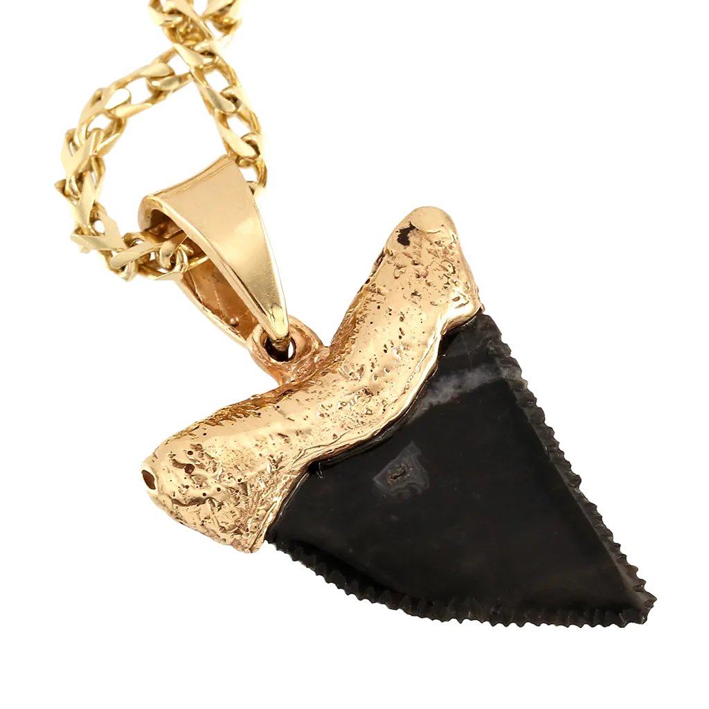 Carved Obsidian Shark Pendant